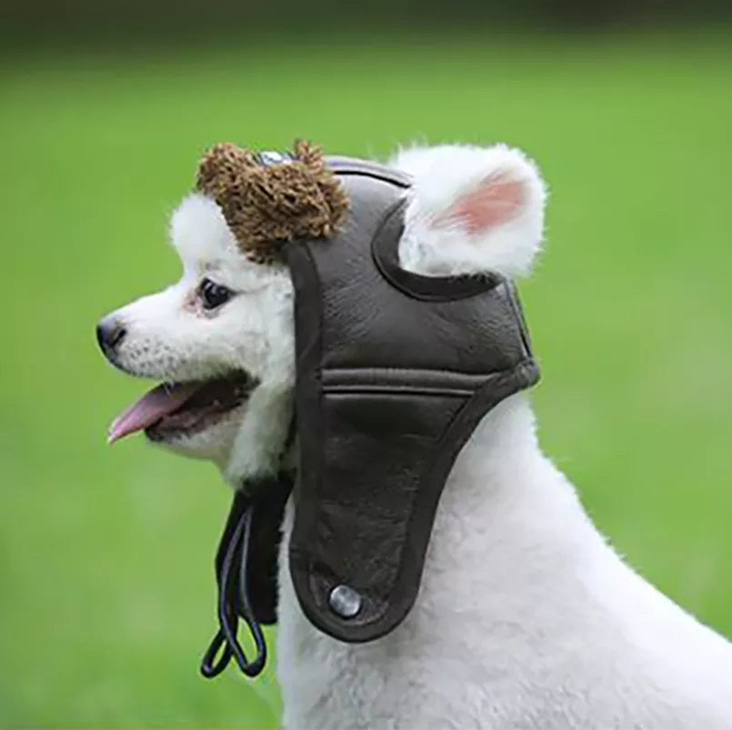 Dog clearance trapper hat