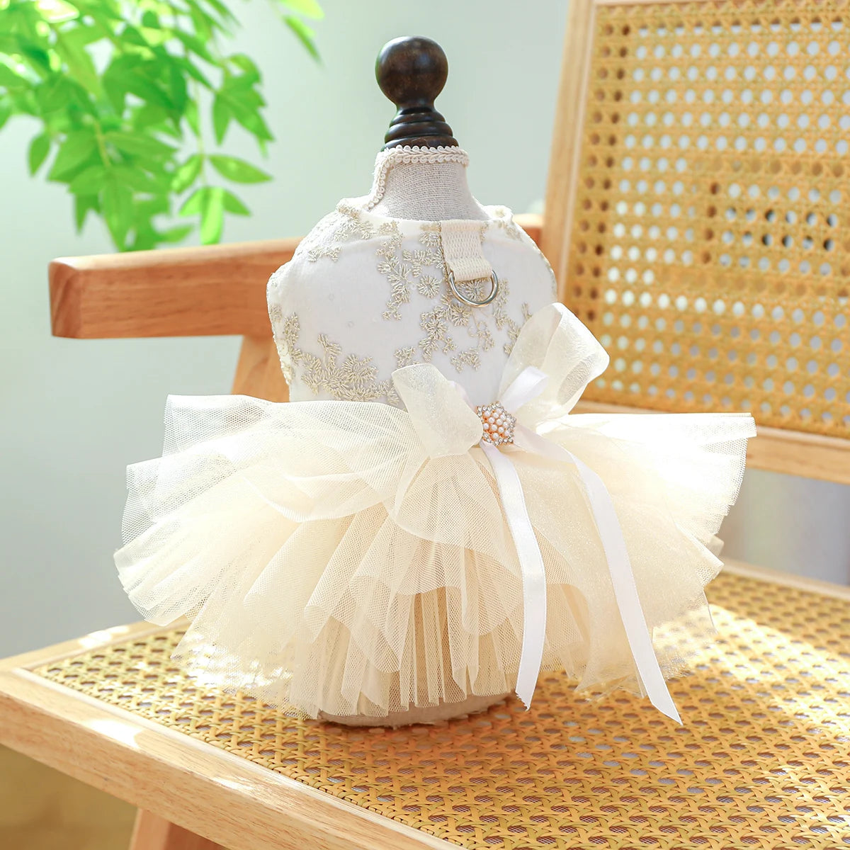 Dog White Dress