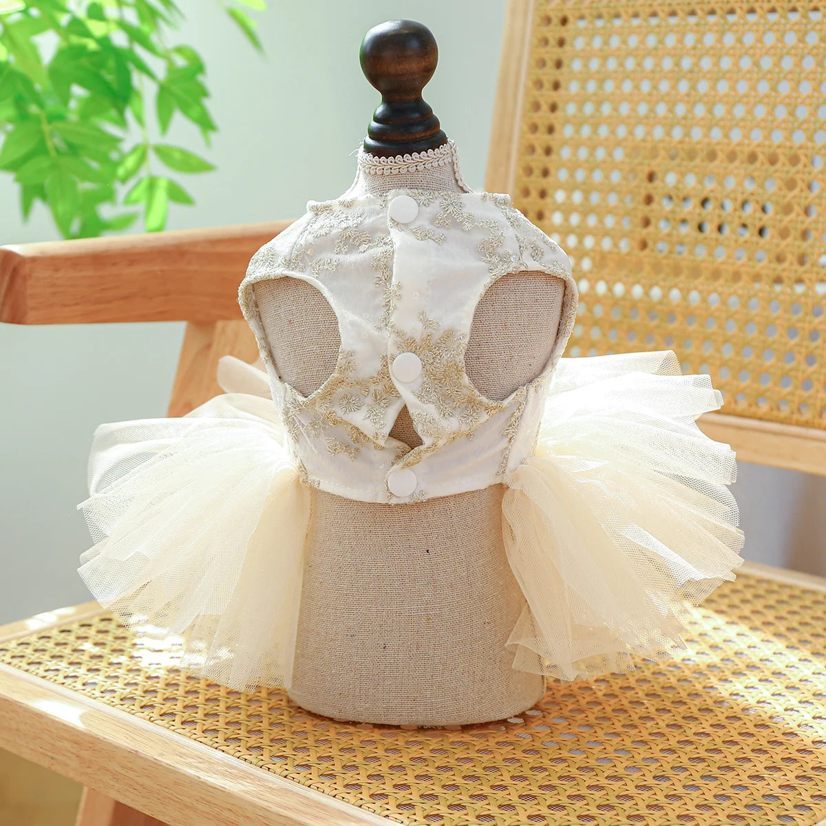 Dog White Dress