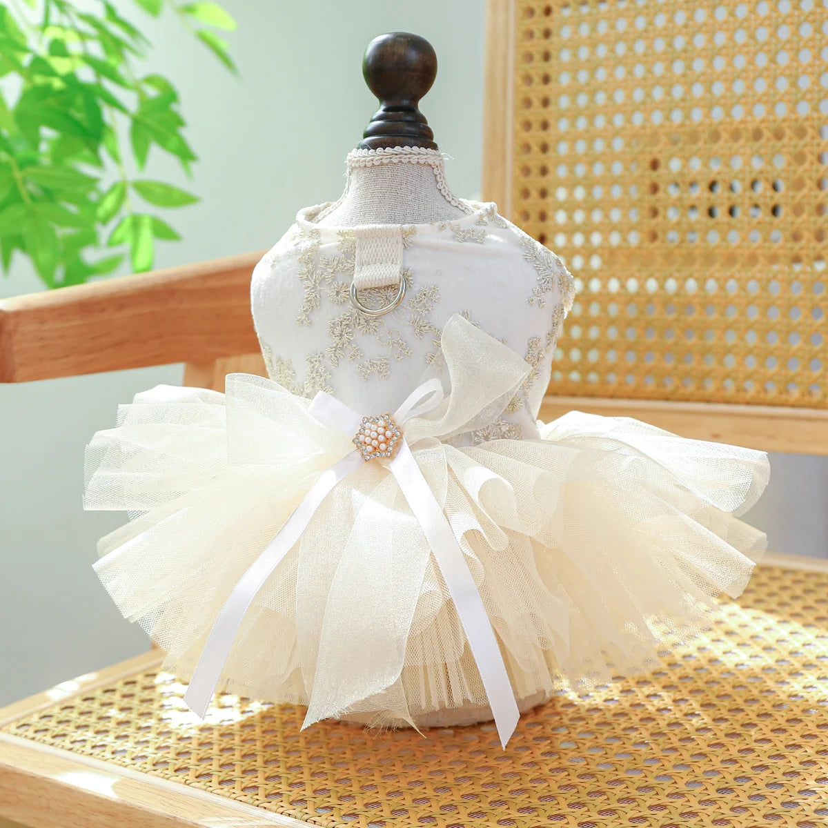 Dog White Dress