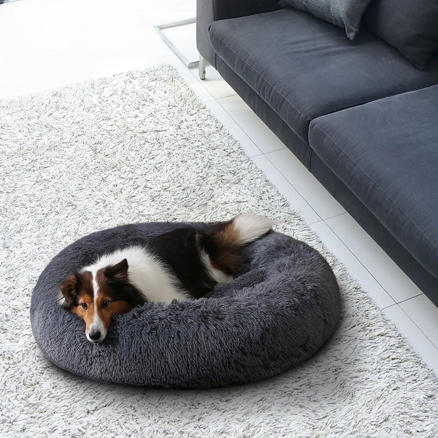 Fluffy Donut Dog Bed
