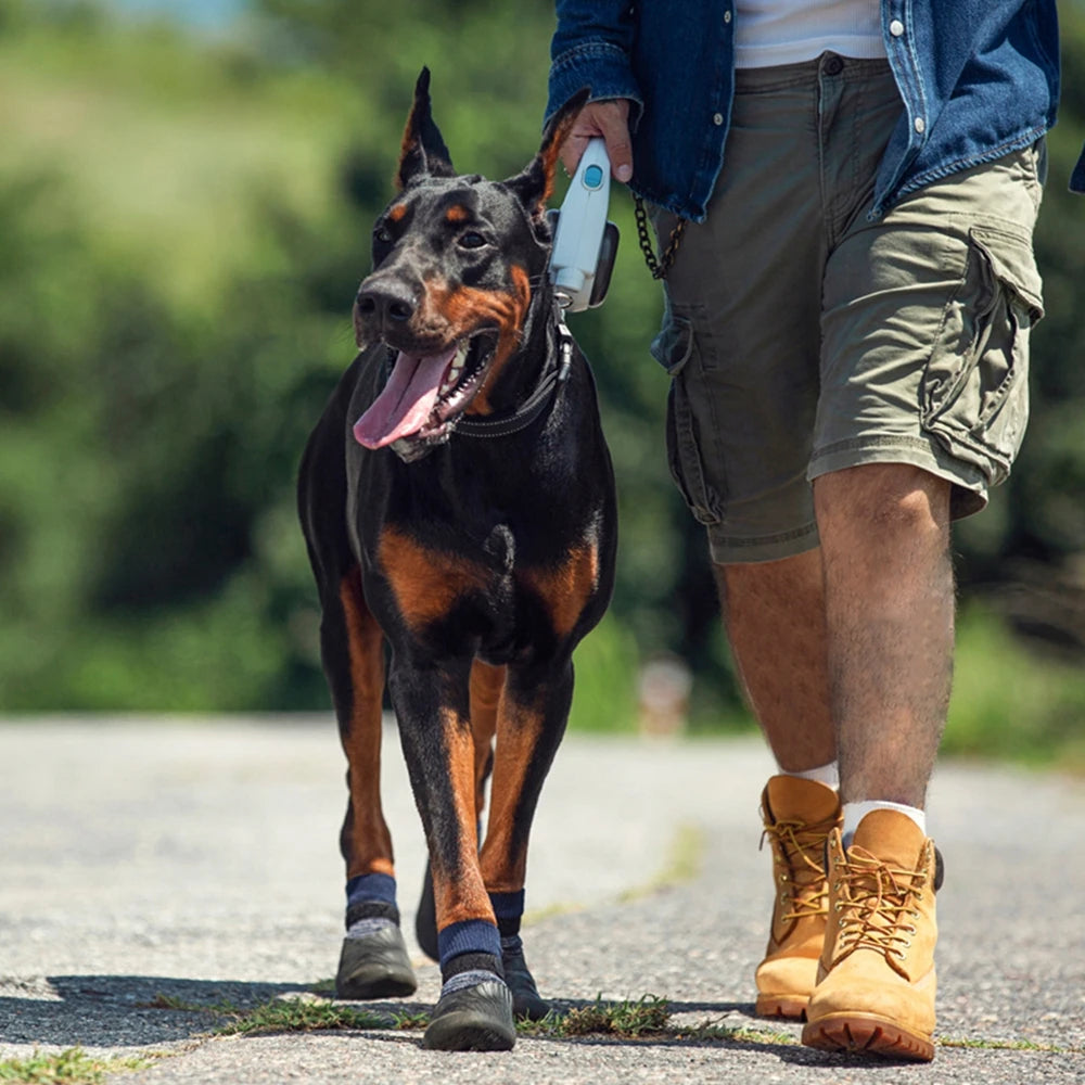 Hiking Dog Shoes