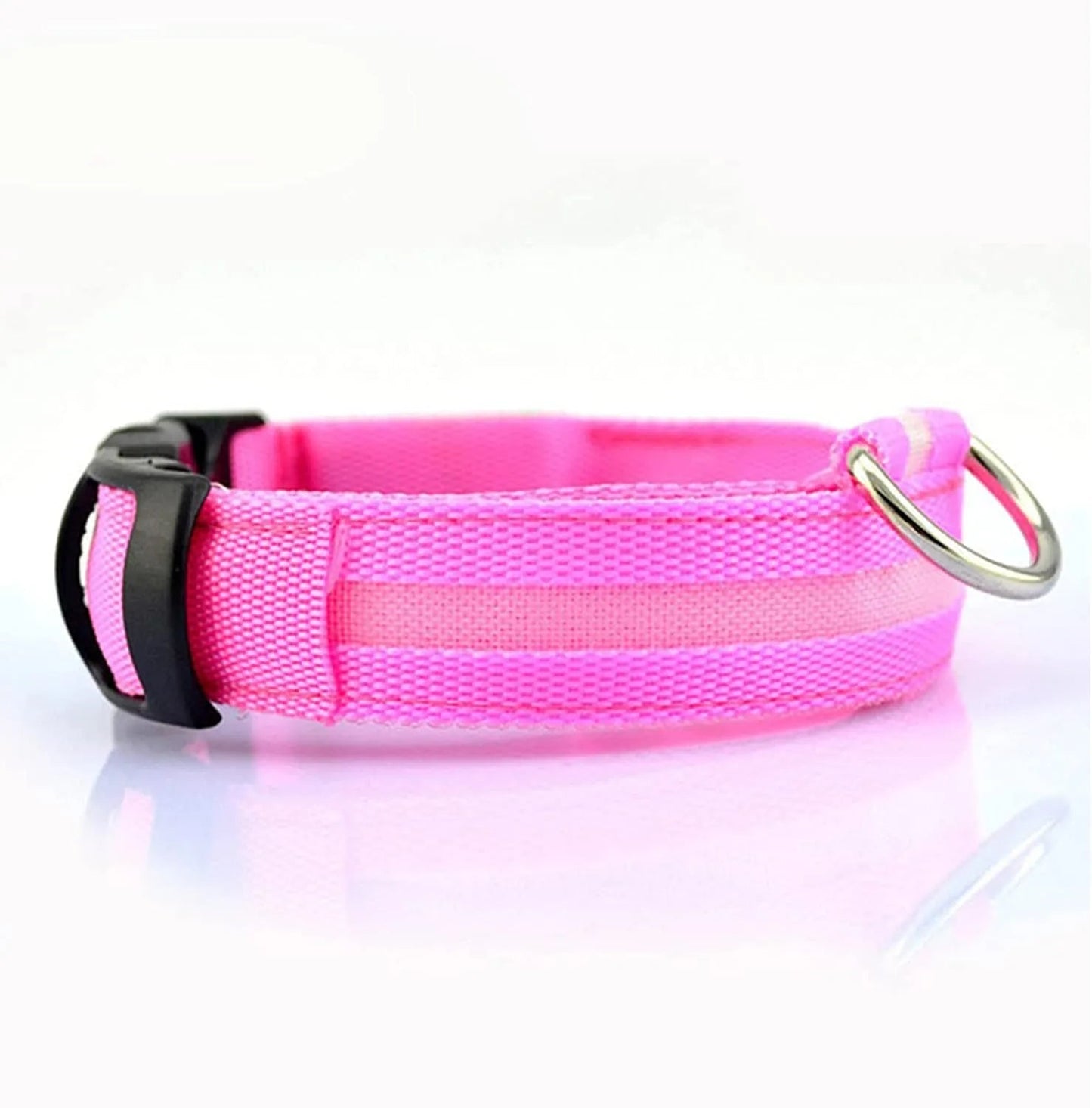 LED Dog Collar