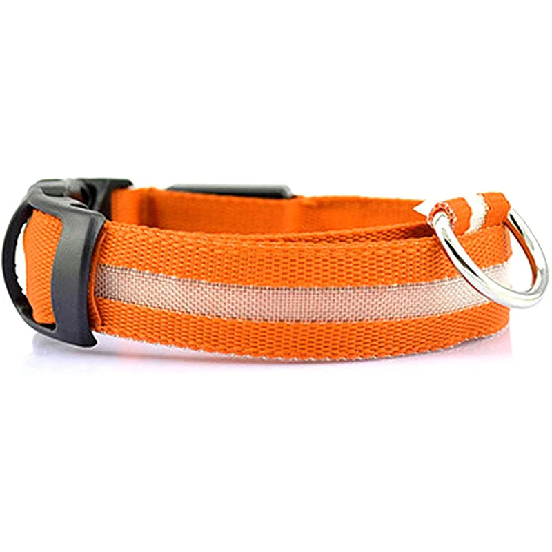 LED Dog Collar