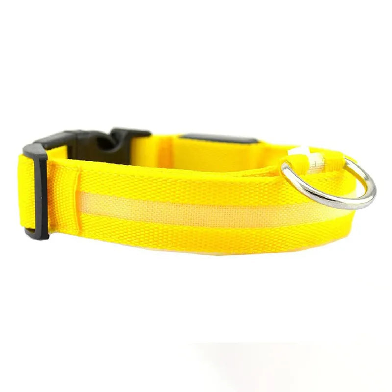 LED Dog Collar