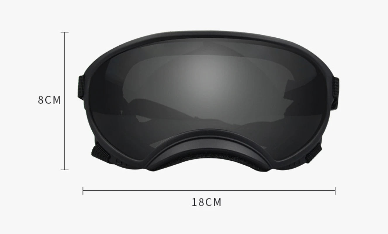 Outdoor Dog Sport Glasses