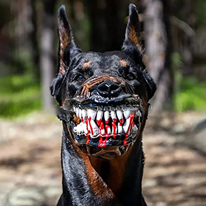 Dog muzzle bloody sales teeth