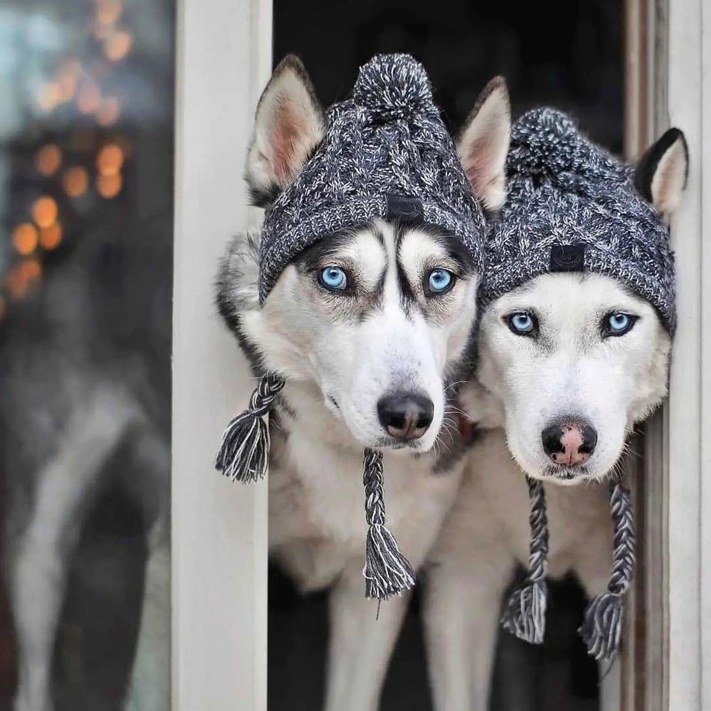 Warm Dog Beanie