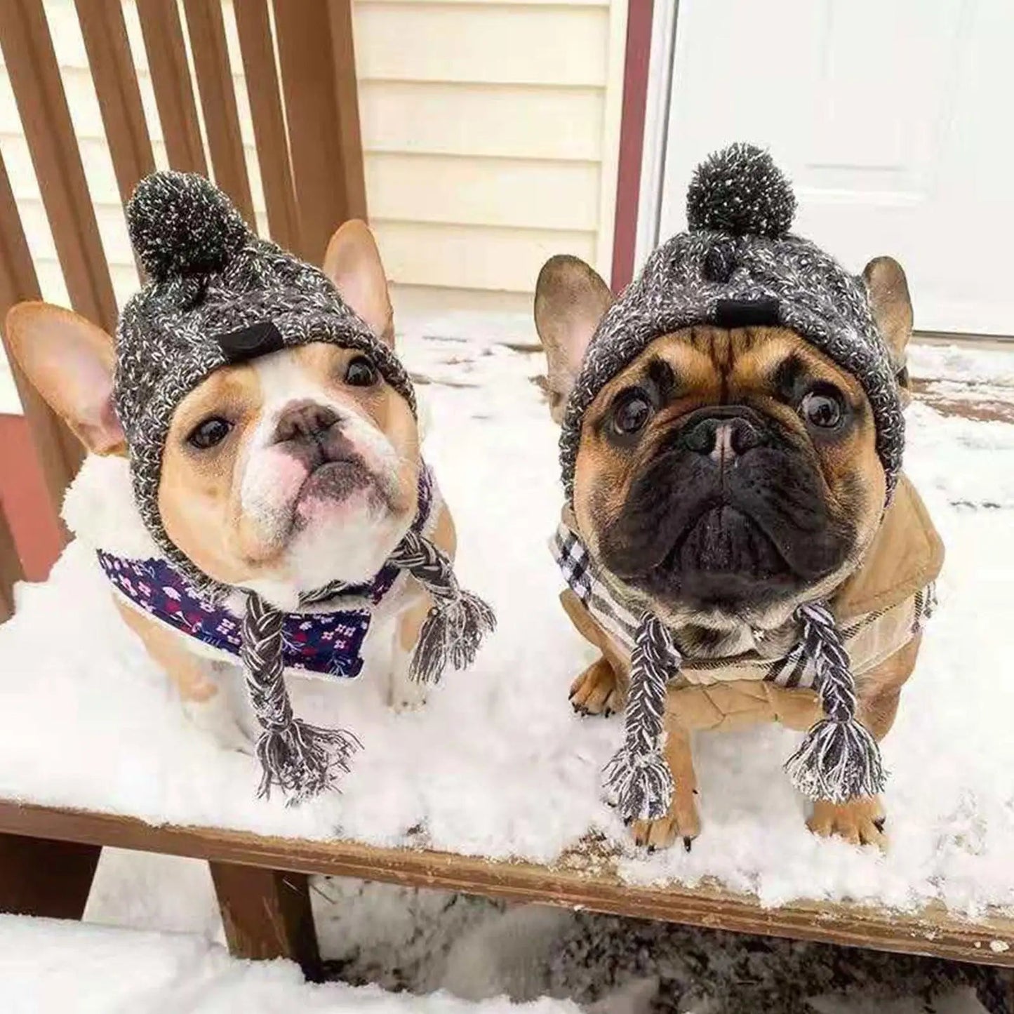 Warm Dog Beanie