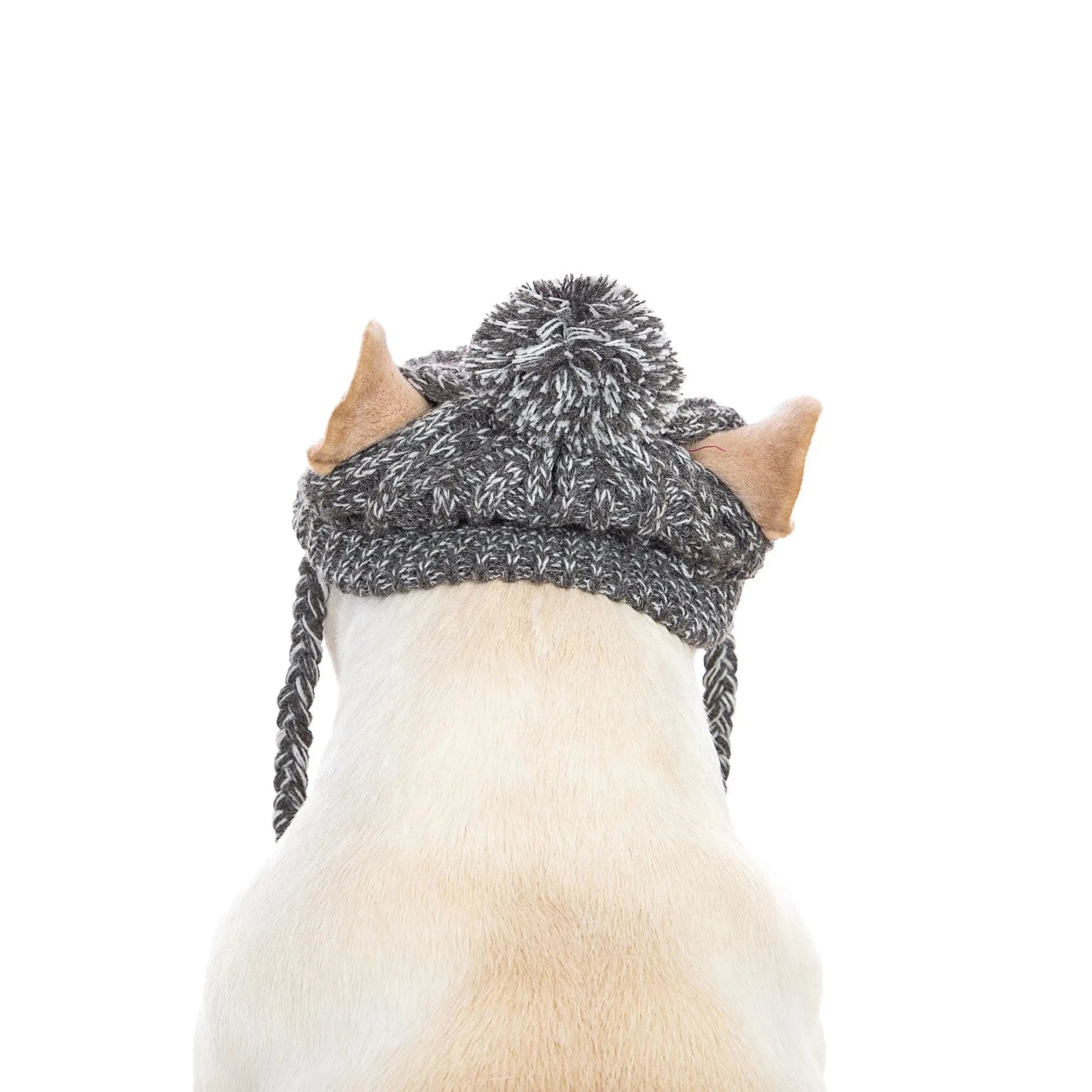 Winter Dog Knitted Beanie