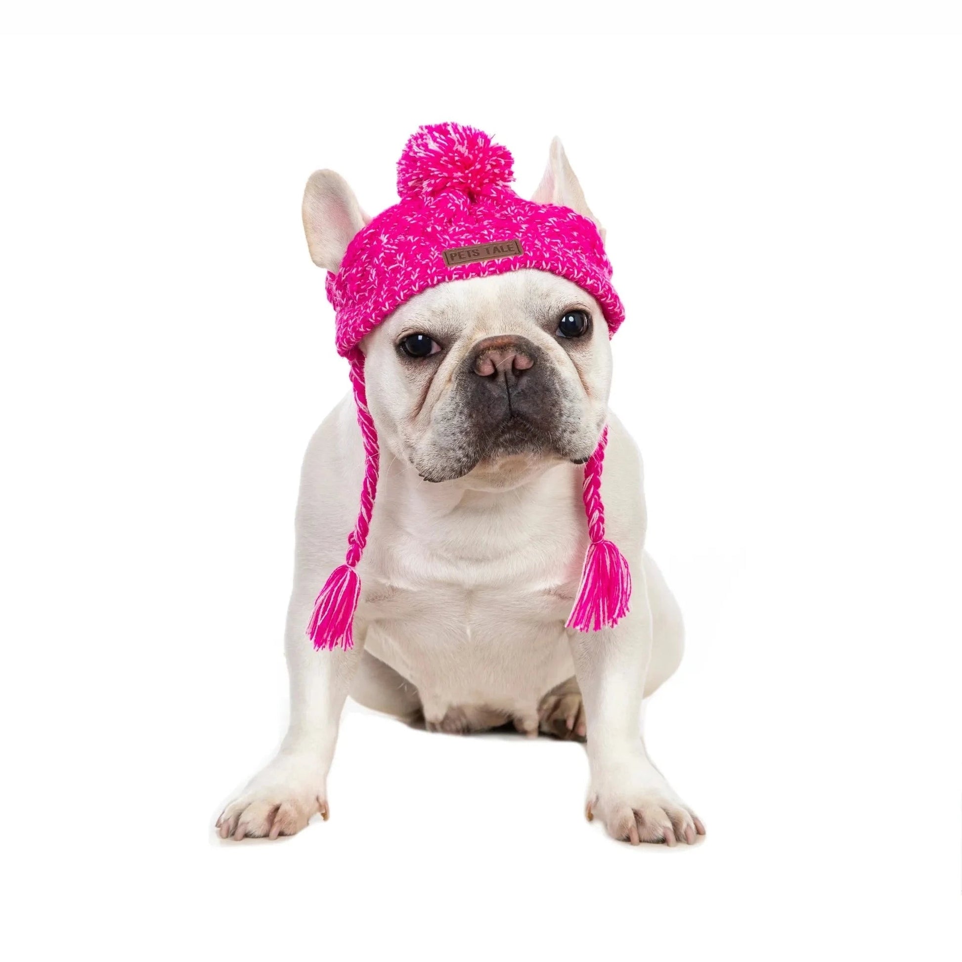 Winter Dog Knitted Beanie