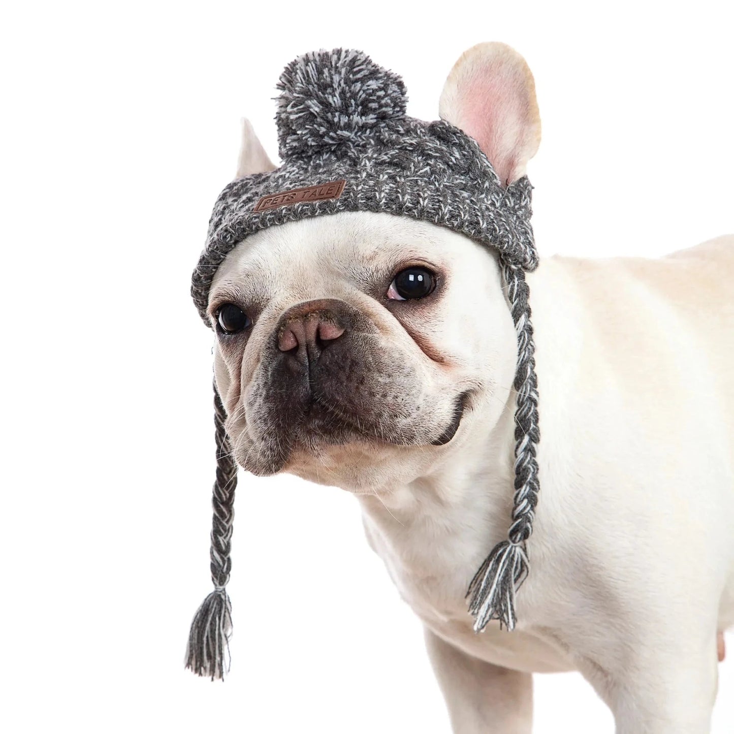 Winter Dog Knitted Beanie