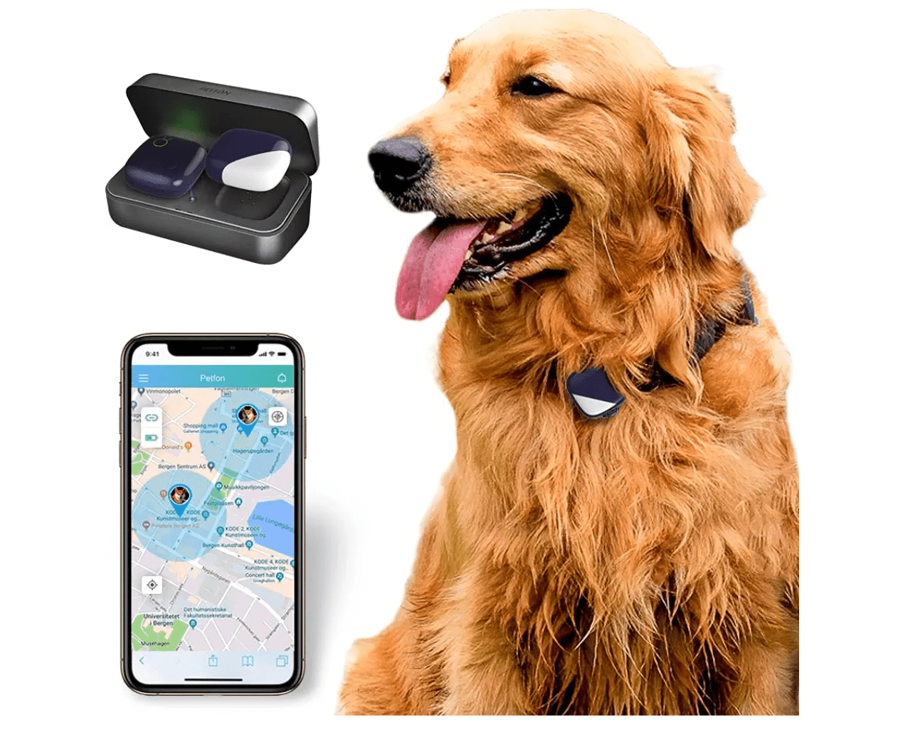Why is it safer to setup a GPS for my dog?