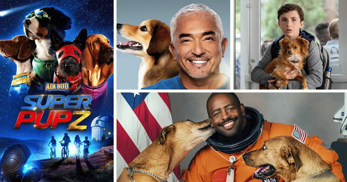 Dog TV shows for kids and families