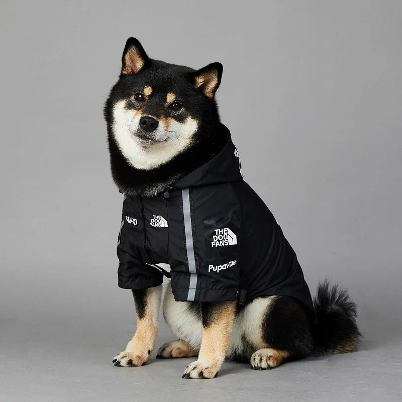 dog-apparel
