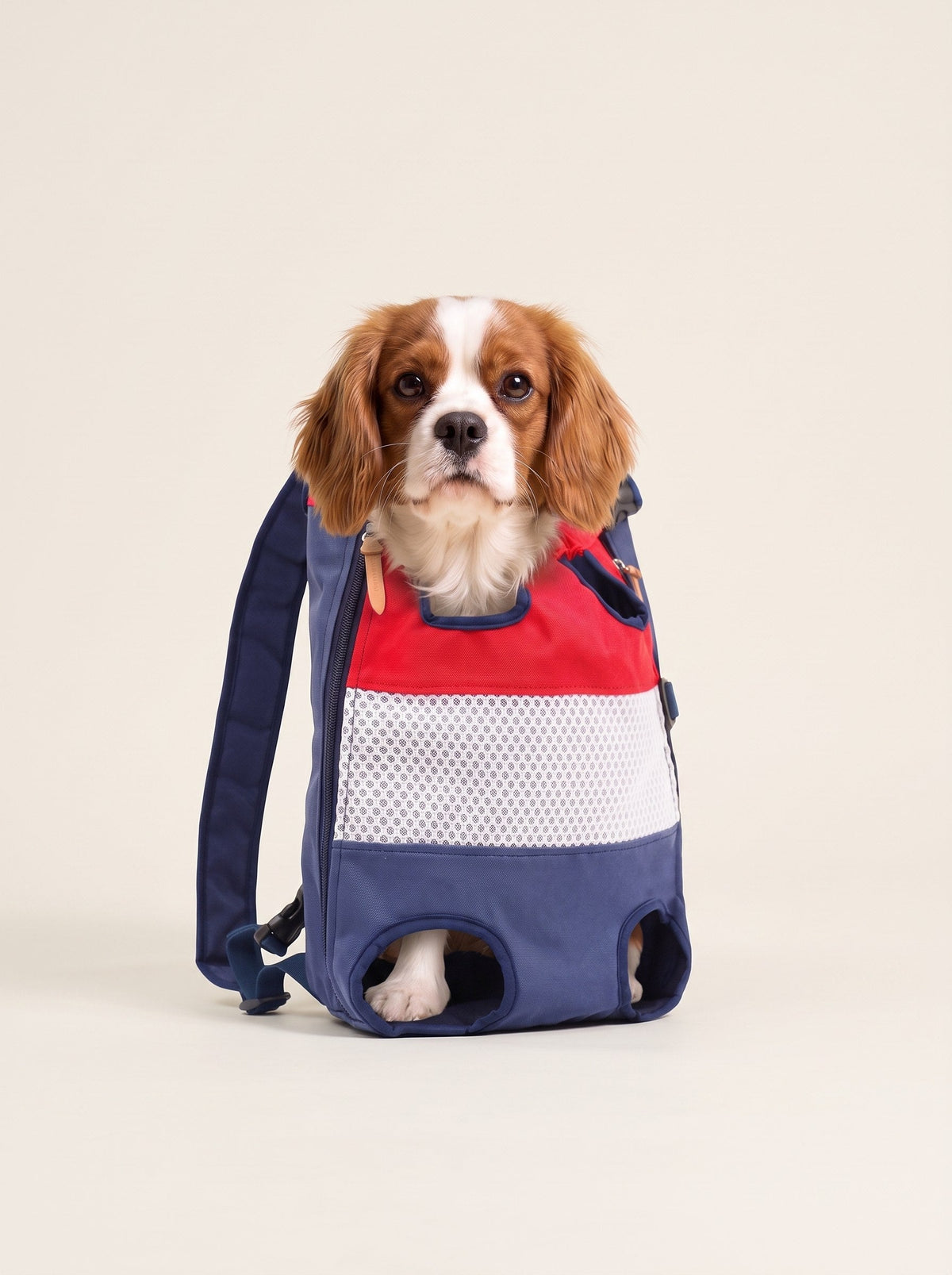 Dog Carrier