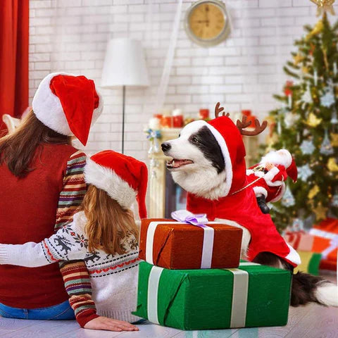 Dog Christmas Costume