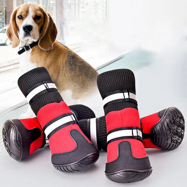 dog-shoes