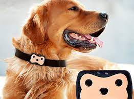 GPS Dog Collar tracker