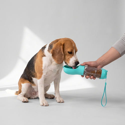 3 In 1 Dog Water Bottle with a beagle, studio photo