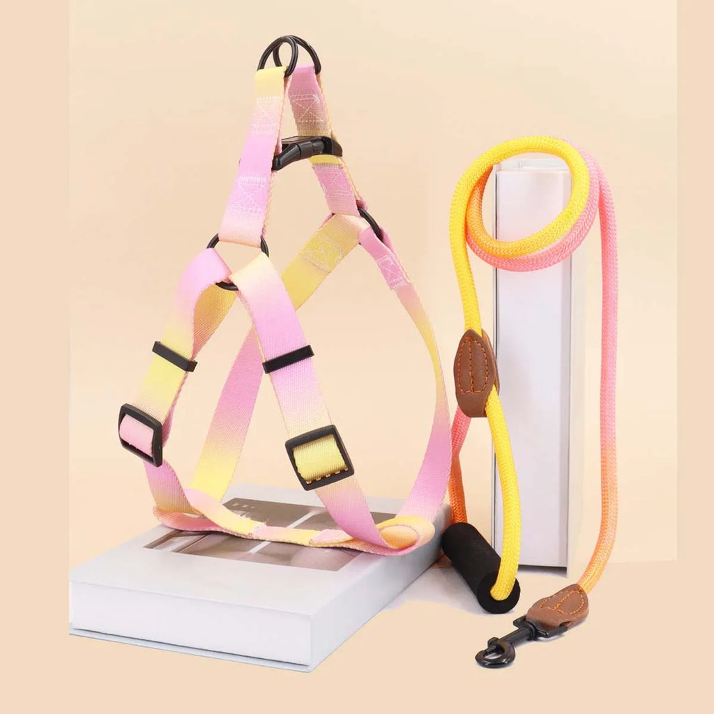 Cute Dog Harness And Leash in Pink Yellow