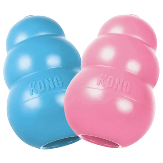 Kong Dog Toy