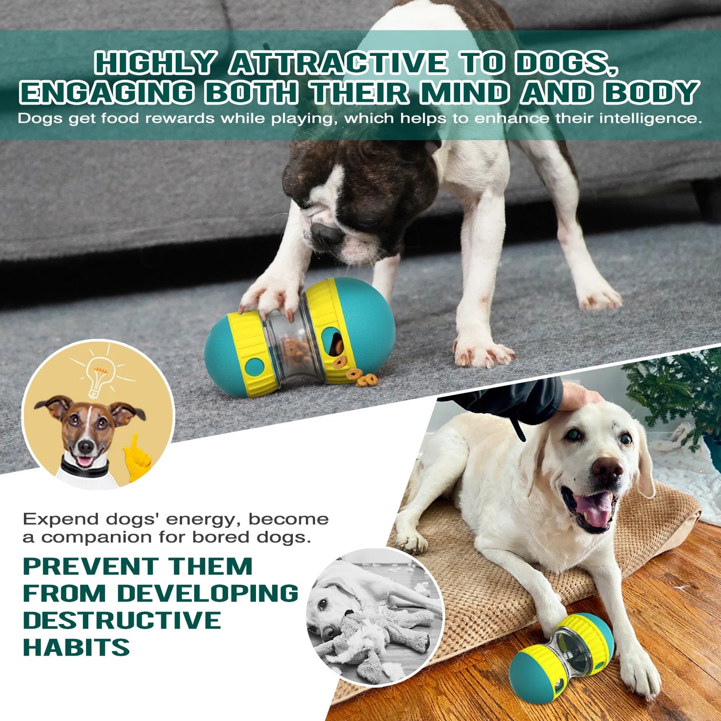 Dog Food Dispensing Toy