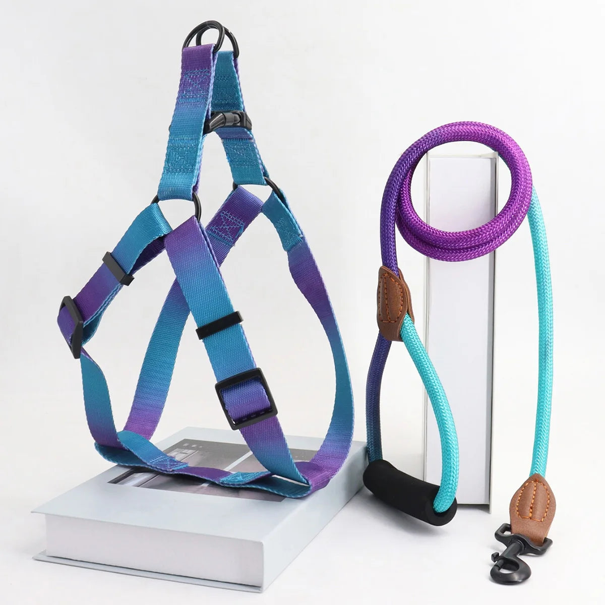 Cute Dog Harness And Leash in Purple Blue
