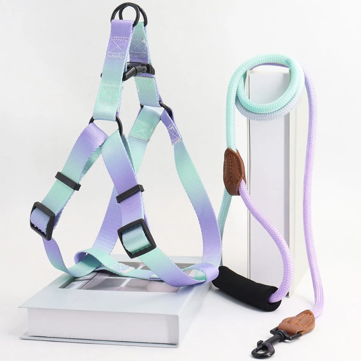 Cute Dog Harness And Leash in Purple Green