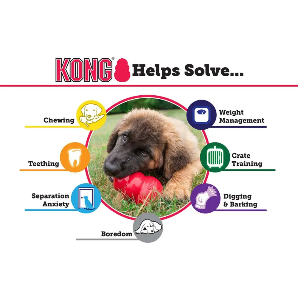 Kong Dog Toys