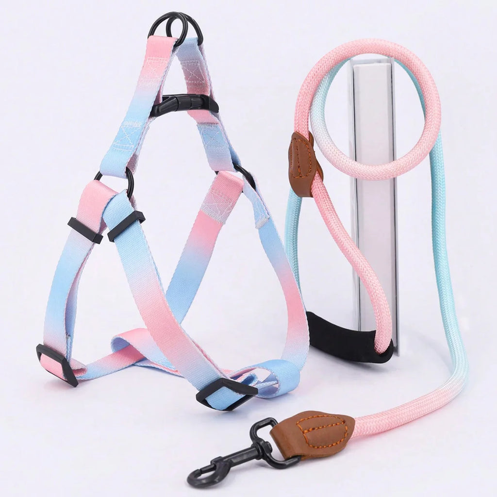 Cute Dog Harness And Leash in Pink Blue