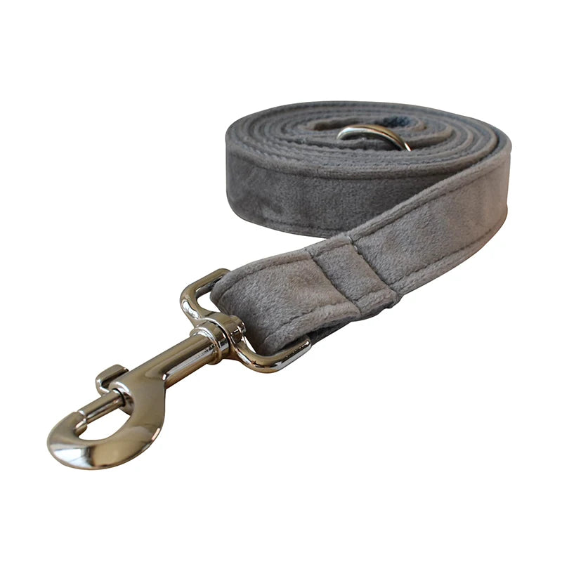 Unique Dog Collar in Leash