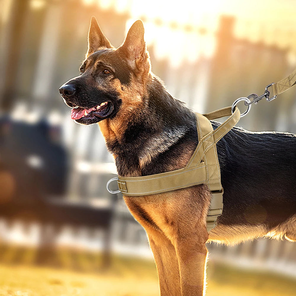 No Pull Dog Harness, photo 6