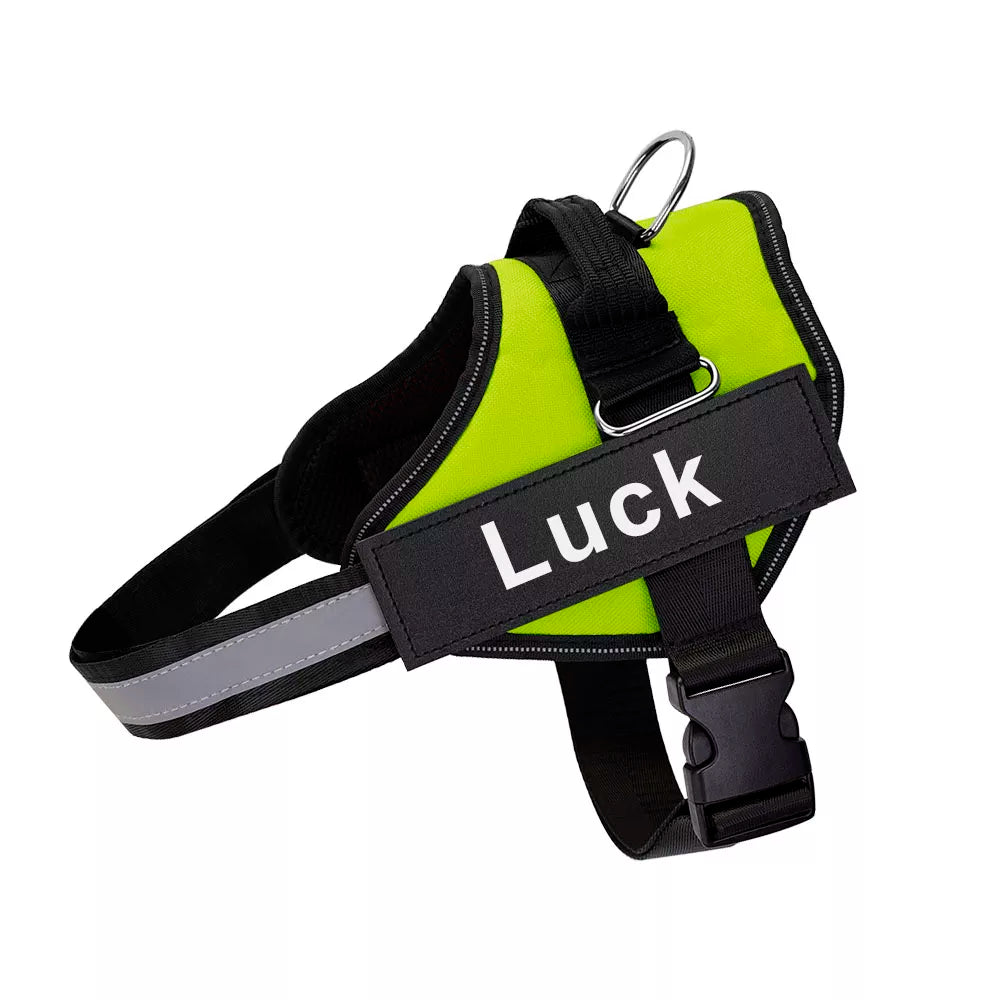 Heavy Duty Dog Harness in Green