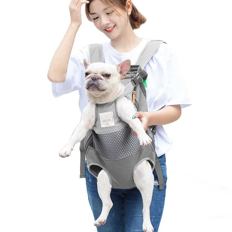 Backpack To Carry Dog