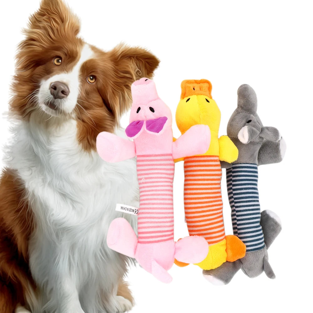 Dog Plush Squeaky Toys