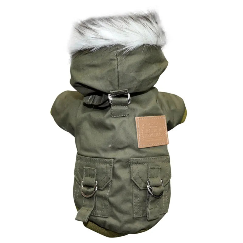 Small Dog Winter Coat in Green