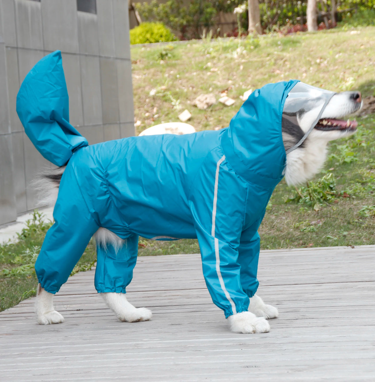 Large Dog Raincoat in Blue