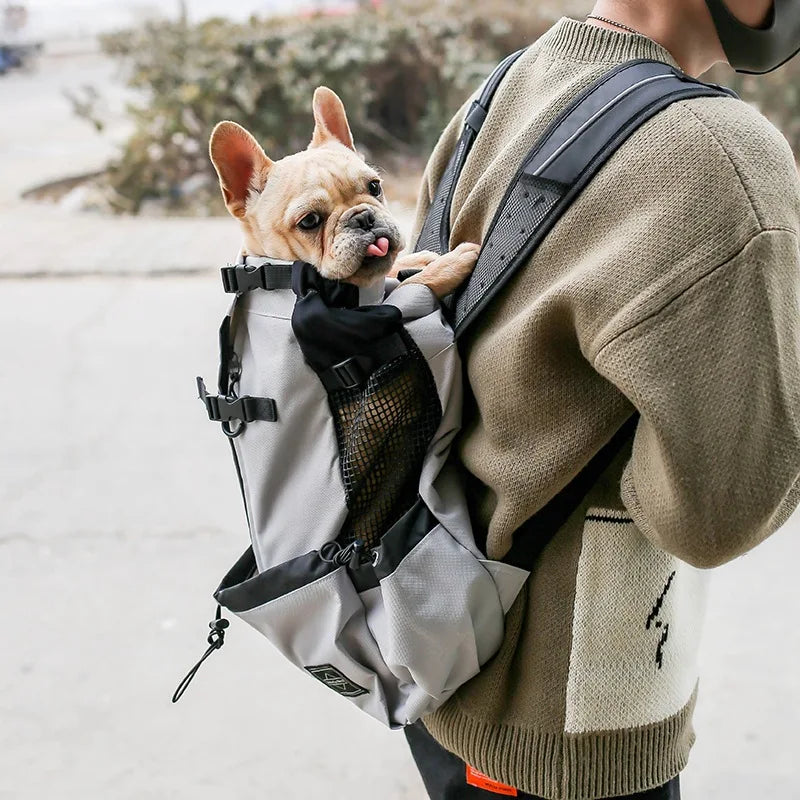Item Type: Specifically designed as a backpack for dogs, providing convenience and comfort.