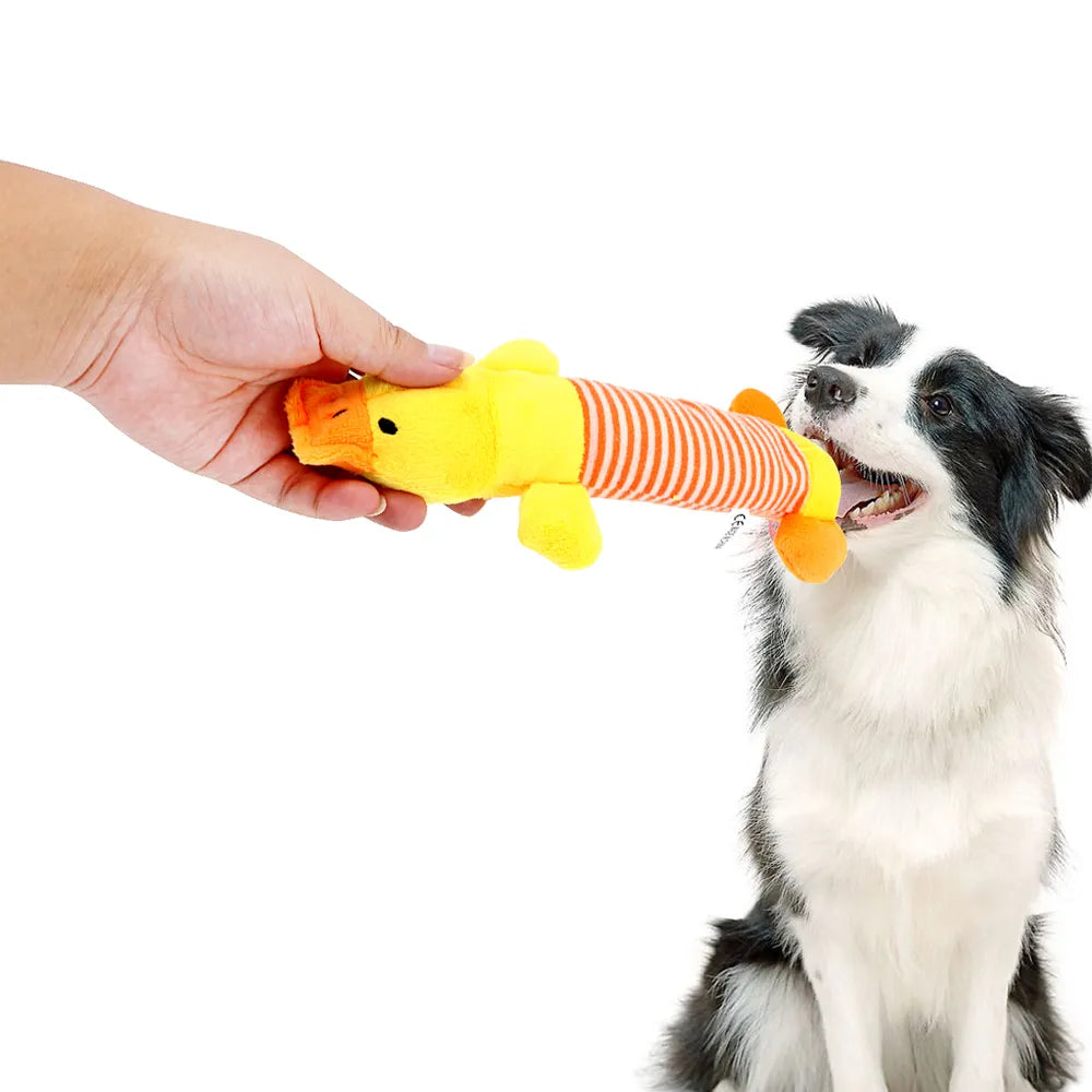 Dog Plush Squeaky Toys