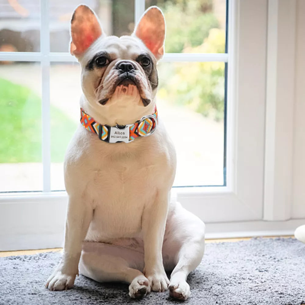 Personalized Nylon Dog Collar