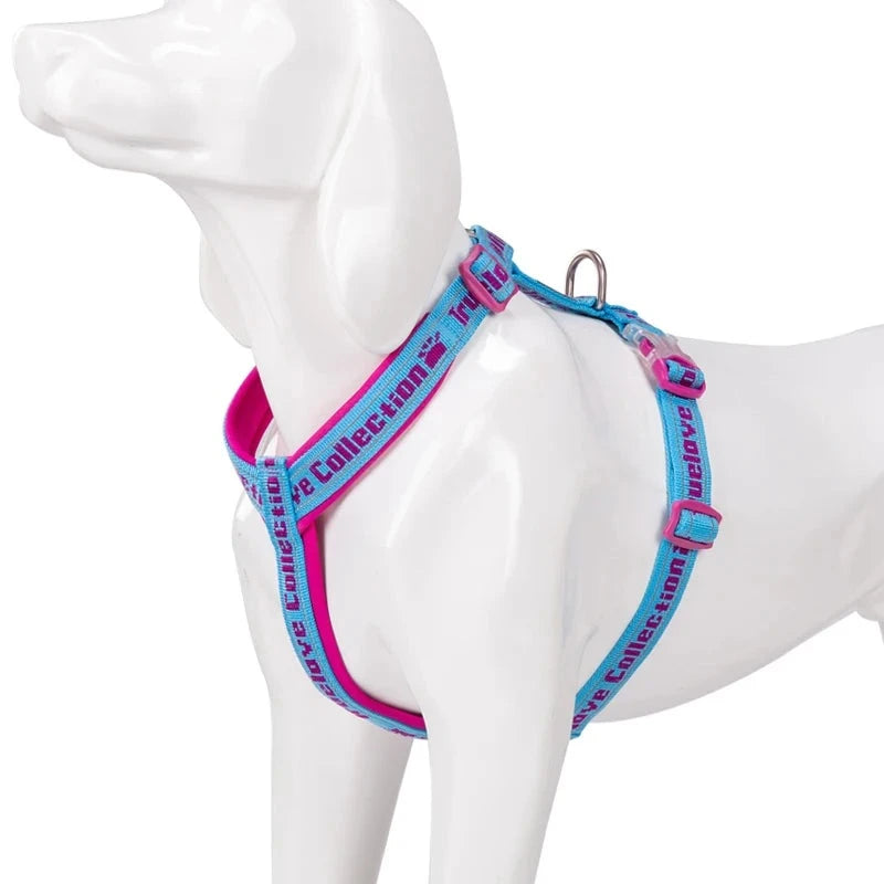 Easy Walk Harness For Dogs in Fuchsia