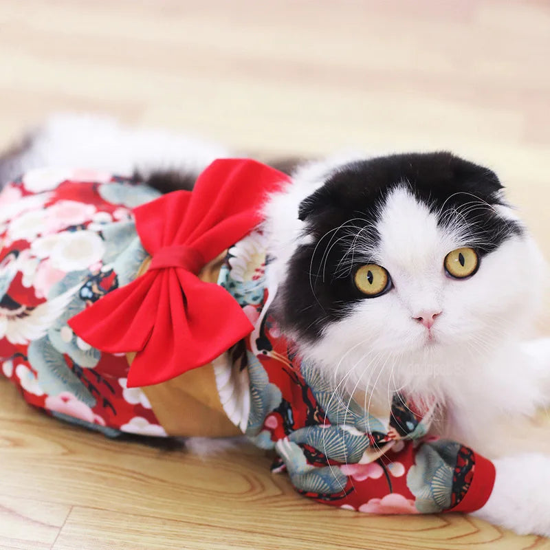 Dog Kimono