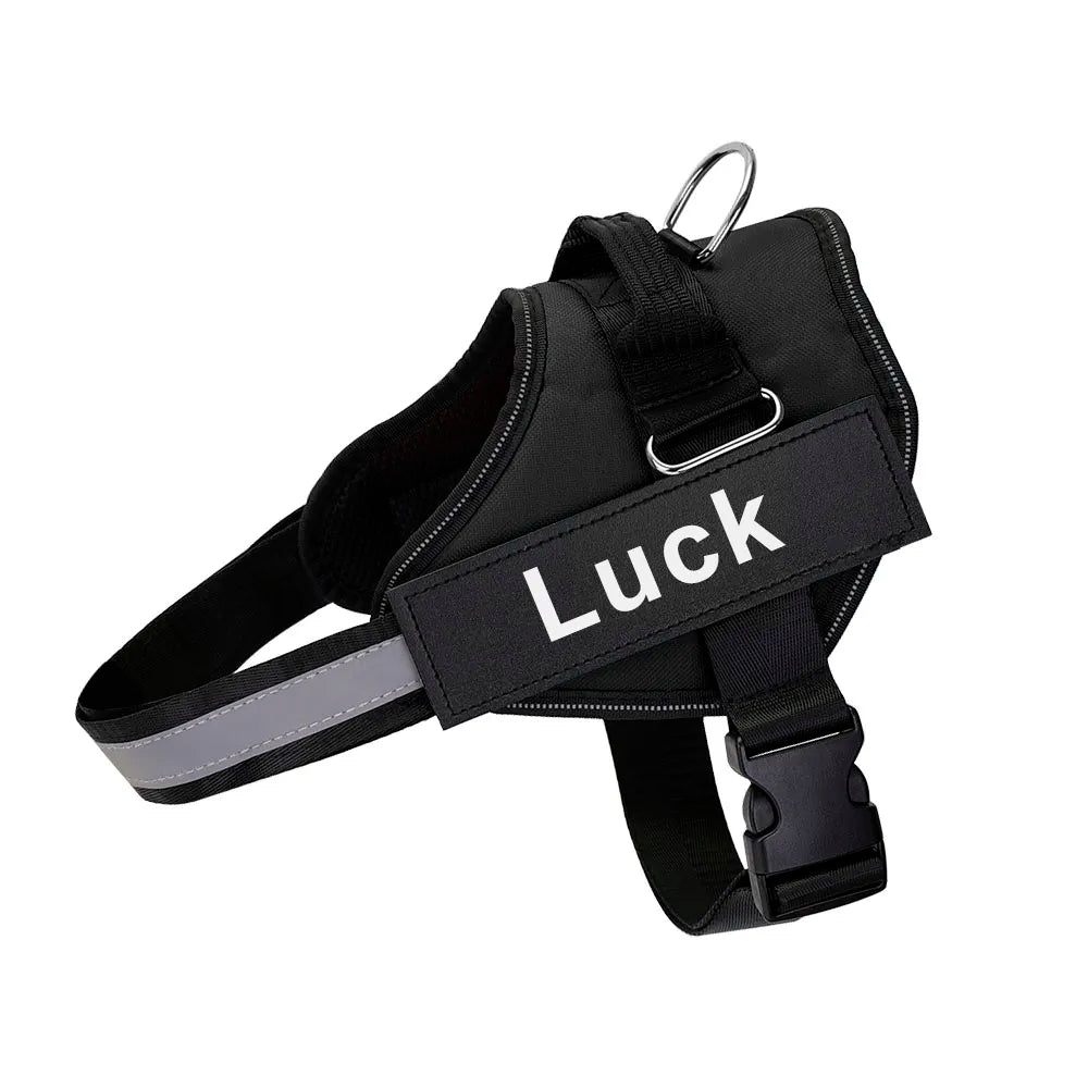 Heavy Duty Dog Harness in Black