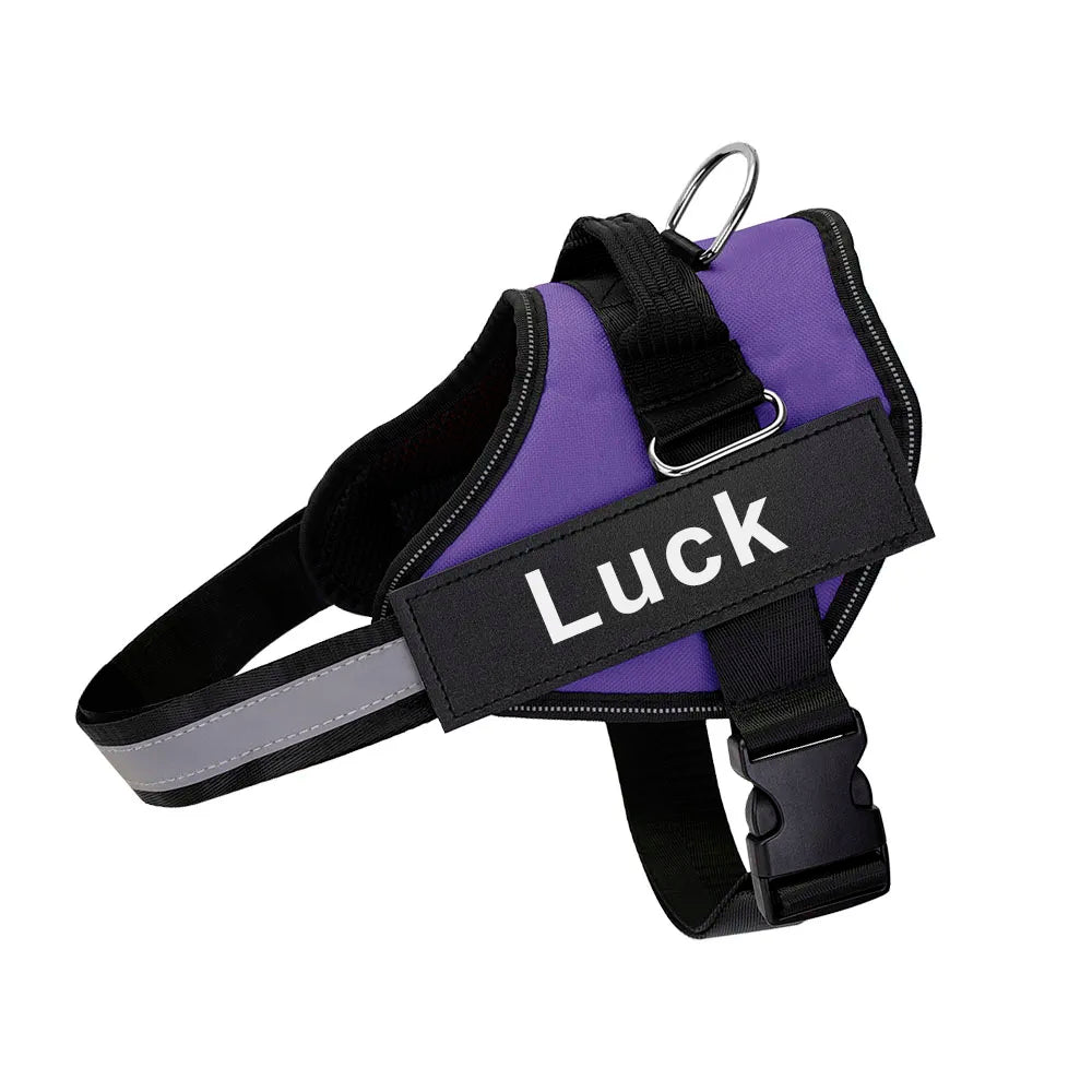 Heavy Duty Dog Harness in Purple