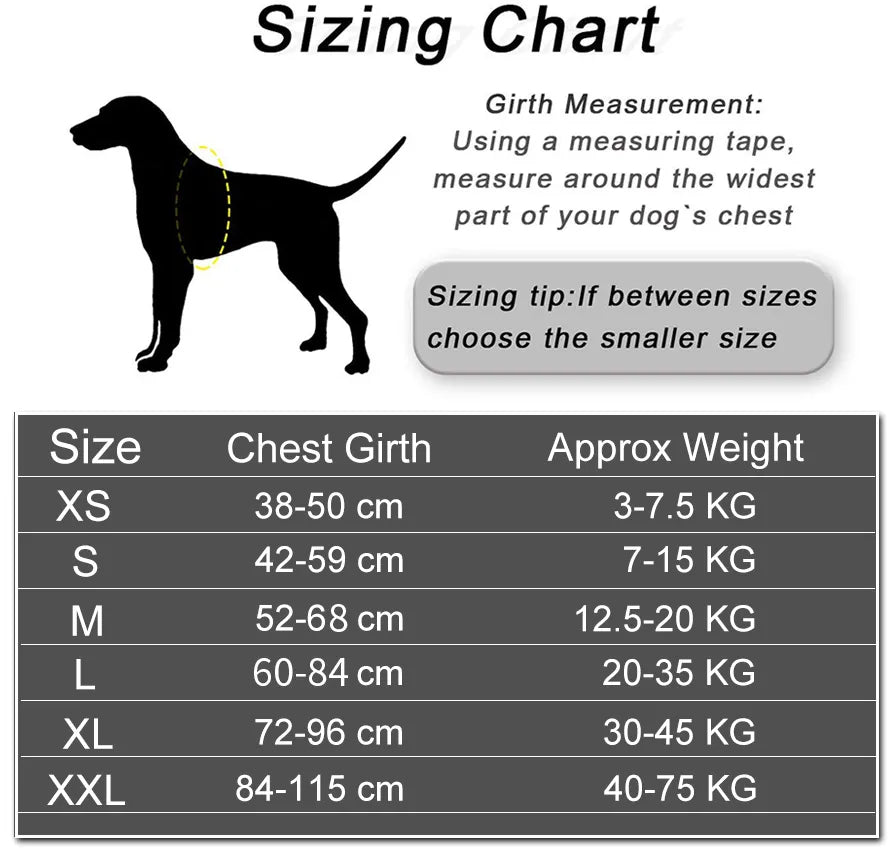 Heavy Duty Dog Harness, photo 6
