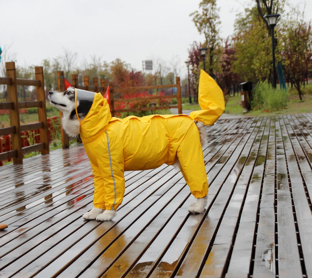 Large Dog Raincoat