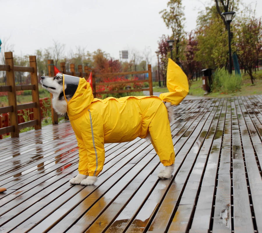 Type: Dogs
