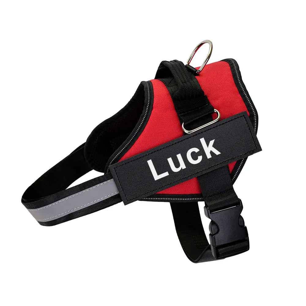 Heavy Duty Dog Harness in Red