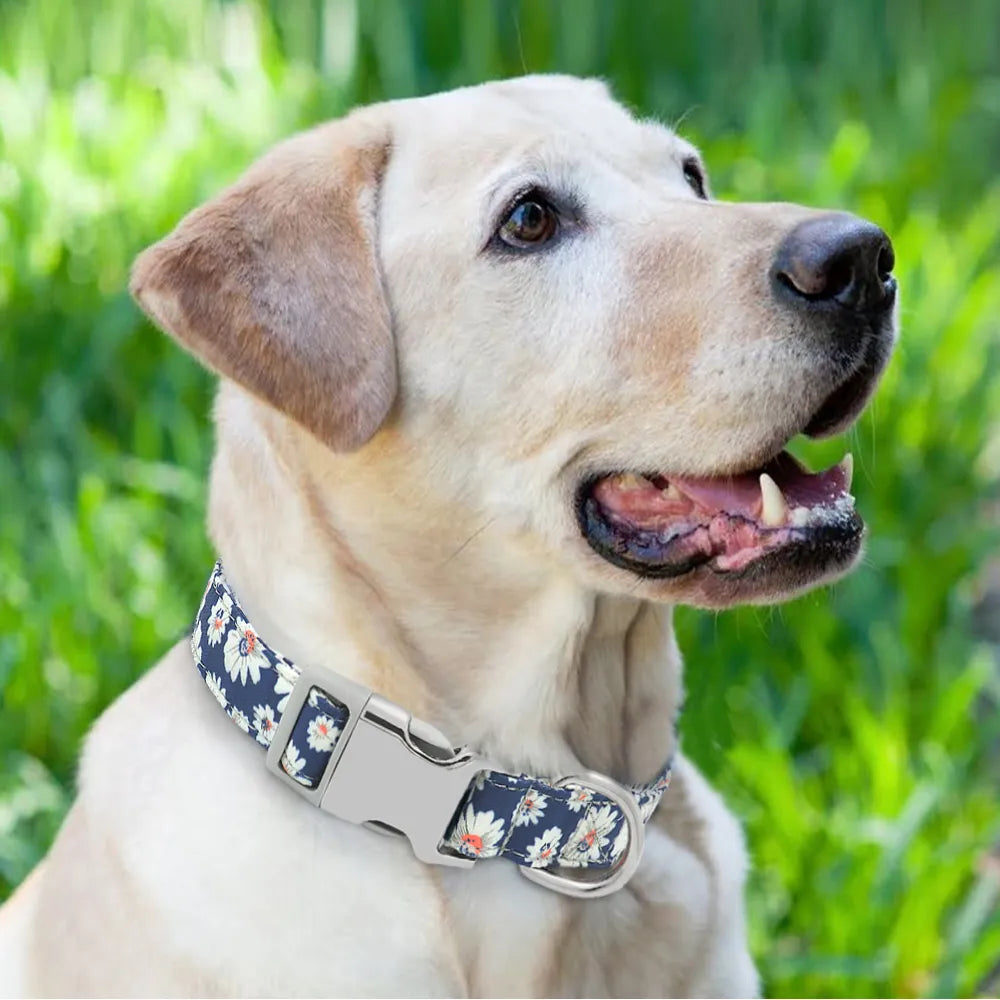 Personalized Nylon Dog Collar